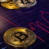 Telegram profile photo for CryptoCrash®