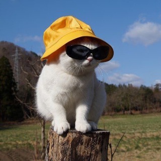 Telegram profile photo for КОНТОРА П🐣