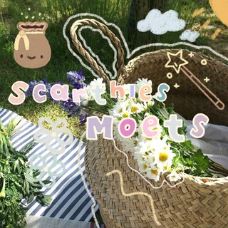 Telegram profile photo for Scarthies. Open