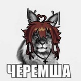 Telegram profile photo for травуша