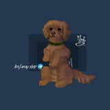 Telegram profile photo for 𝗟𝗠|𝗮𝗺𝘆 𝘀𝗵𝗼𝗽