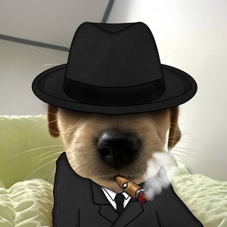 Telegram profile photo for Матвій працює