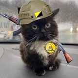 Telegram profile photo for Народ прогрессирует