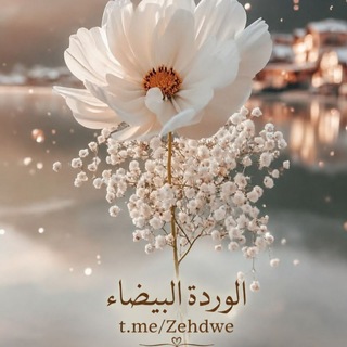 Telegram profile photo for الورډة 𓂆 البيـضـاء 🤍