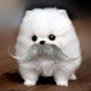 Telegram profile photo for ПЕРЕЕЗД!! пизды тупой янамрал