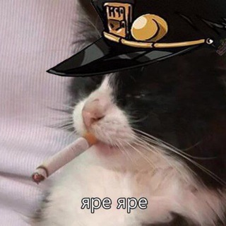 Telegram profile photo for Тот самый Дядька из Кобрастана