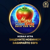 Telegram profile photo for 7 лайфхаков для выигрыша в live покер на деньги