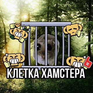 Telegram profile photo for Клетка Хамстера