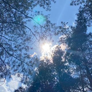 Telegram profile photo for СОЛЯРИЗАЦИЯ 🌞🇷🇺