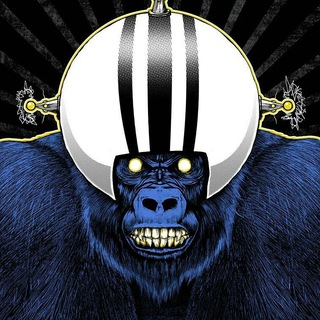 Telegram profile photo for Fbh cn(ShiLL Groop)