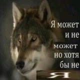 Telegram profile photo for Прайс культа кавеха
