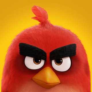 Telegram profile photo for Angry Раздача
