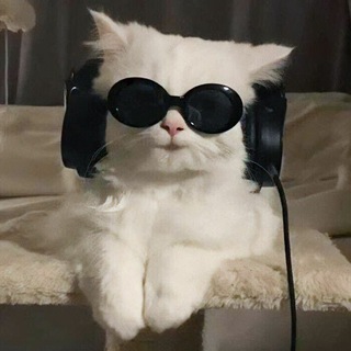 Telegram profile photo for Музыкальные смешнявки