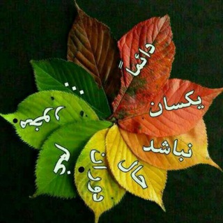 Telegram profile photo for فرزانگان