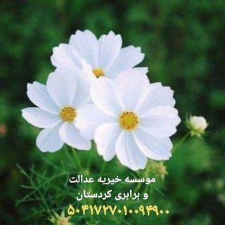 Telegram profile photo for موسسه خیریه عدالت و برابری کردستان