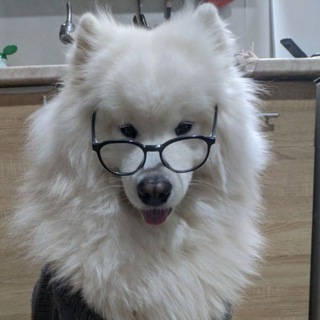Telegram profile photo for provinces🐱🐶🐱🐱🐶