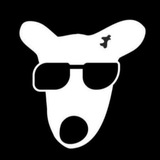 Telegram profile photo for ایردراپ . ارز . تبلیغات