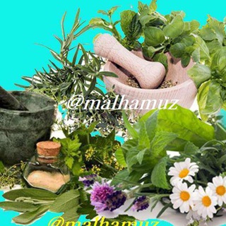 Telegram profile photo for Malham Uz 🌹