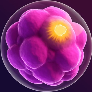 Telegram profile photo for Синкарио