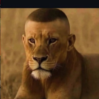 Telegram profile photo for Каталог оптом головные убор🇹🇷всегда креативные решения....