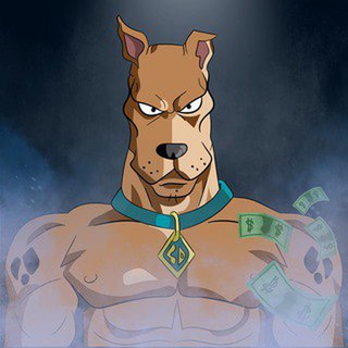 Telegram profile photo for sd247bizhub
