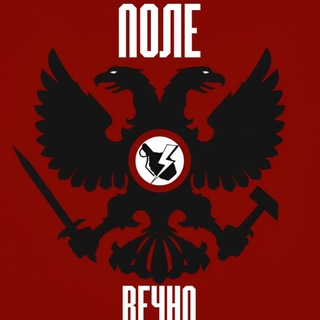 Telegram profile photo for Поле Вечно🔻