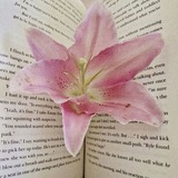 Telegram profile photo for 📎♥️. Poetry—moment's: @iiJEONGLEEANN. (12/04) .. ♡