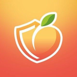 Telegram group profile photo for Persik Traffic Chat