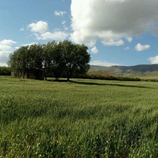 Telegram profile photo for روستای طائمه نهاوند