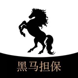 Telegram profile photo for 黑马担保-上押退押公布频道