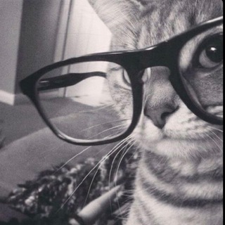 Telegram profile photo for Подарки от кис 🎀🐈⬛