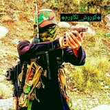 Telegram profile photo for کریتور ارتش تکاوران
