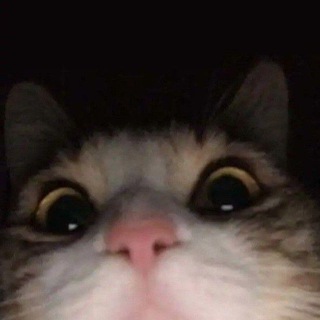 Telegram profile photo for Qat'iyat