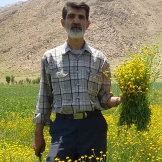 Telegram profile photo for قوطی عطار