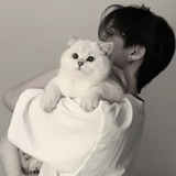 Telegram profile photo for архив моего сердца