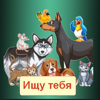 Telegram group profile photo for Потеряшки|Королёв, Щёлково, Мытищи