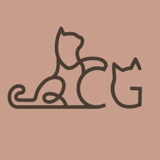 Telegram profile photo for CG