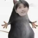 Telegram profile photo for GT驱动发布频道
