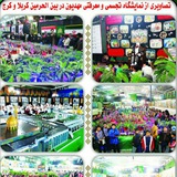 Telegram profile photo for نمایشگاه تجسمی و فعالیتهای مهديون کرج