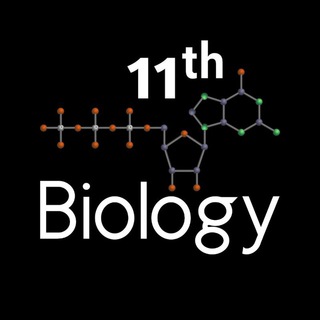 Telegram profile photo for Class 11 Biology Notes PYQ Sample Paper Question Bank Solution CBSE News