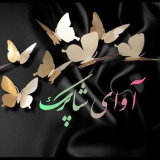 Telegram profile photo for ࿐✨჻ᭂآوای شاپرک ჻ᭂ✨࿐