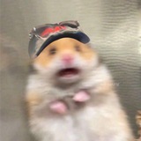 Telegram profile photo for Keep it up