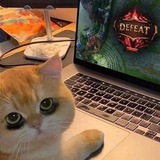 Telegram profile photo for GG Cat