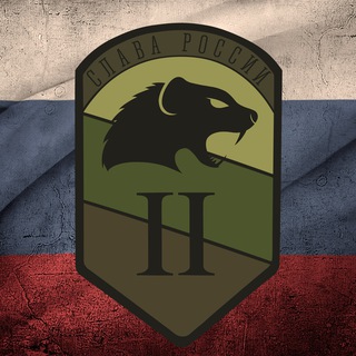 Telegram profile photo for Батальон "Хищник" 🇷🇺 Взгляд Za горизонт