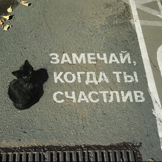 Telegram profile photo for обожаю