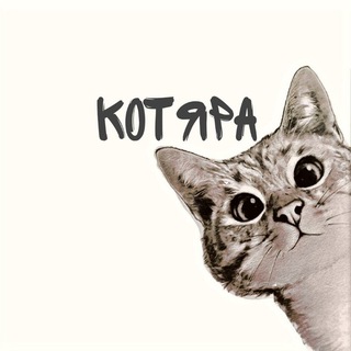 Telegram profile photo for КОТЯРА😸