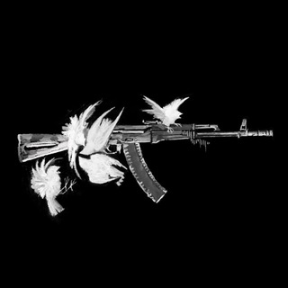 Telegram profile photo for Military archive 🅉