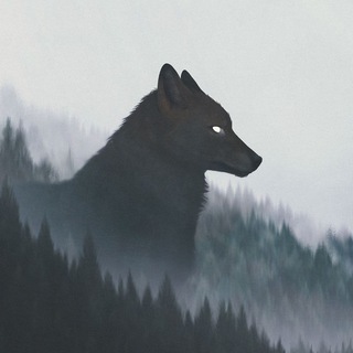 Telegram profile photo for Werewolves