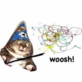 Telegram profile photo for High Wizard Cat $WOOSH