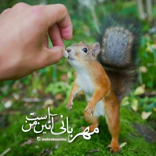 Telegram profile photo for آوای مهربانی